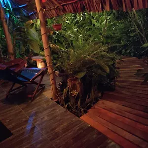 Inn Ixchel, Xul-Ha